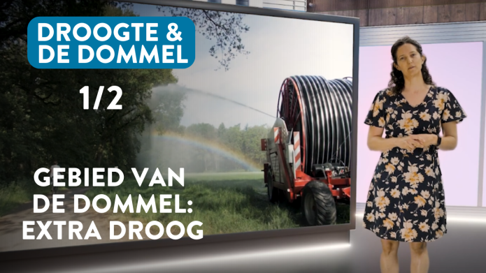 Gebied van De Dommel: extra droogte video 1/2