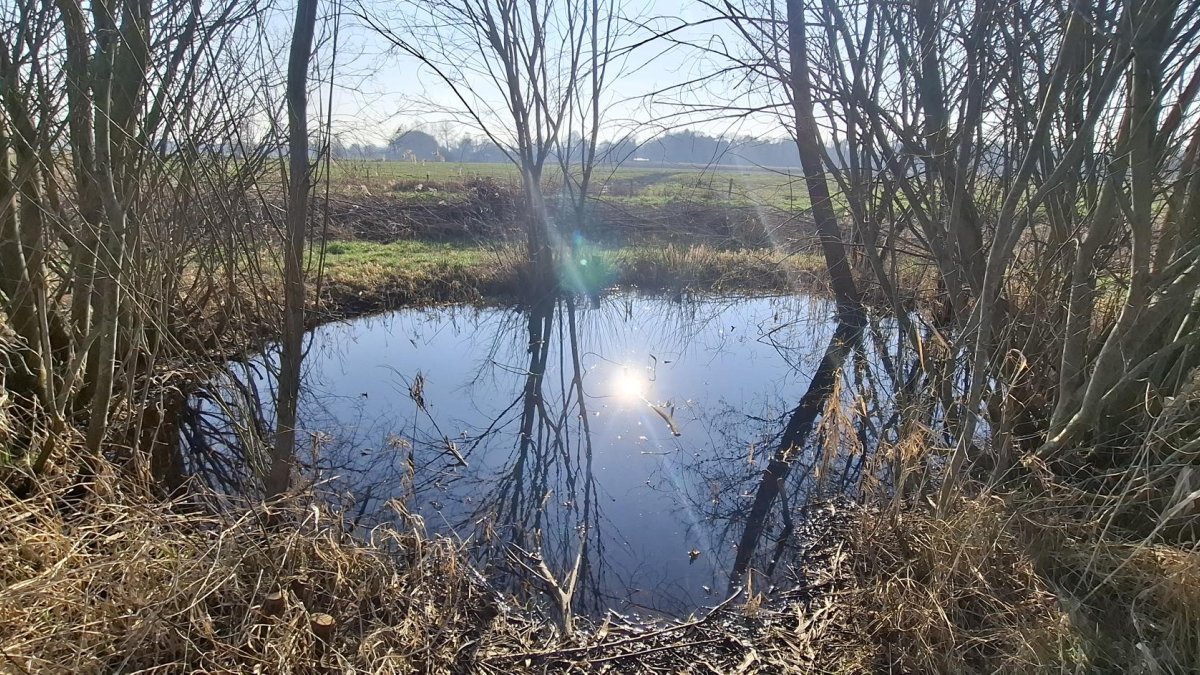 Verkenning natuurontwikkeling Helvoirts Broek gestart