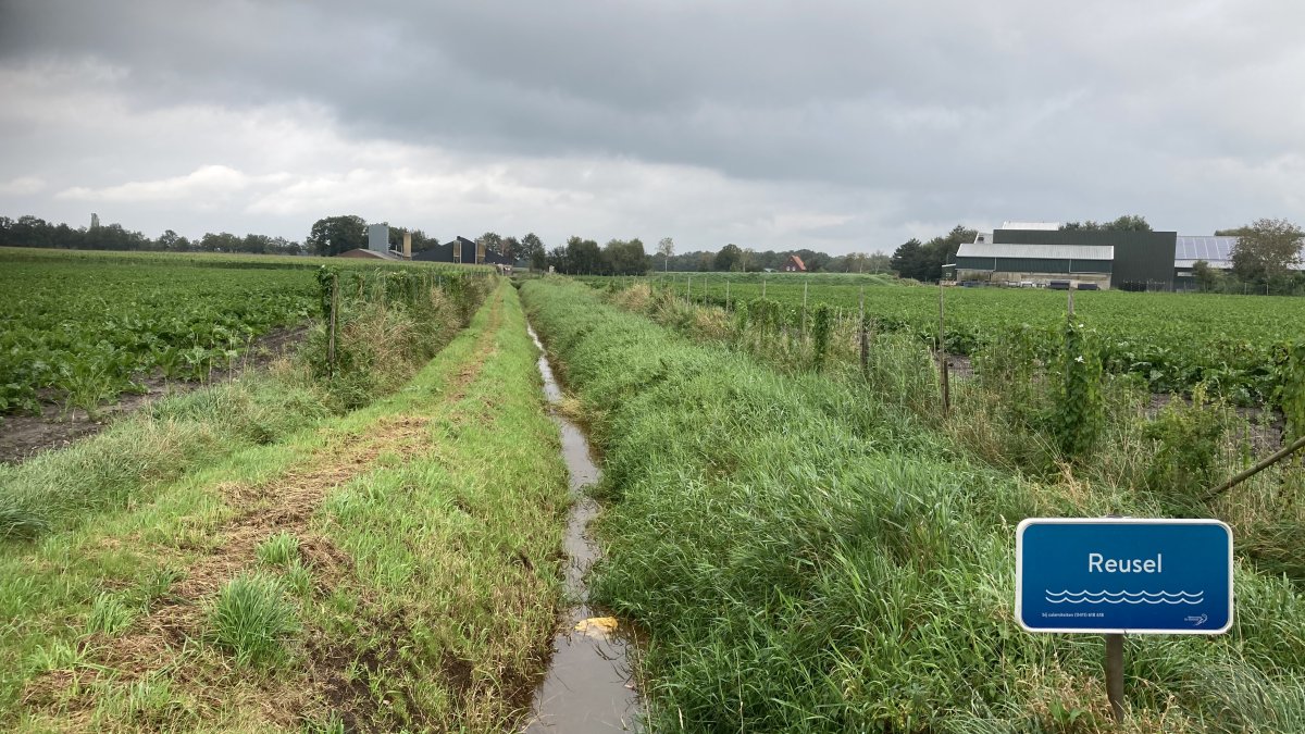 Inloopbijeenkomst over twee projecten bij de Reusel