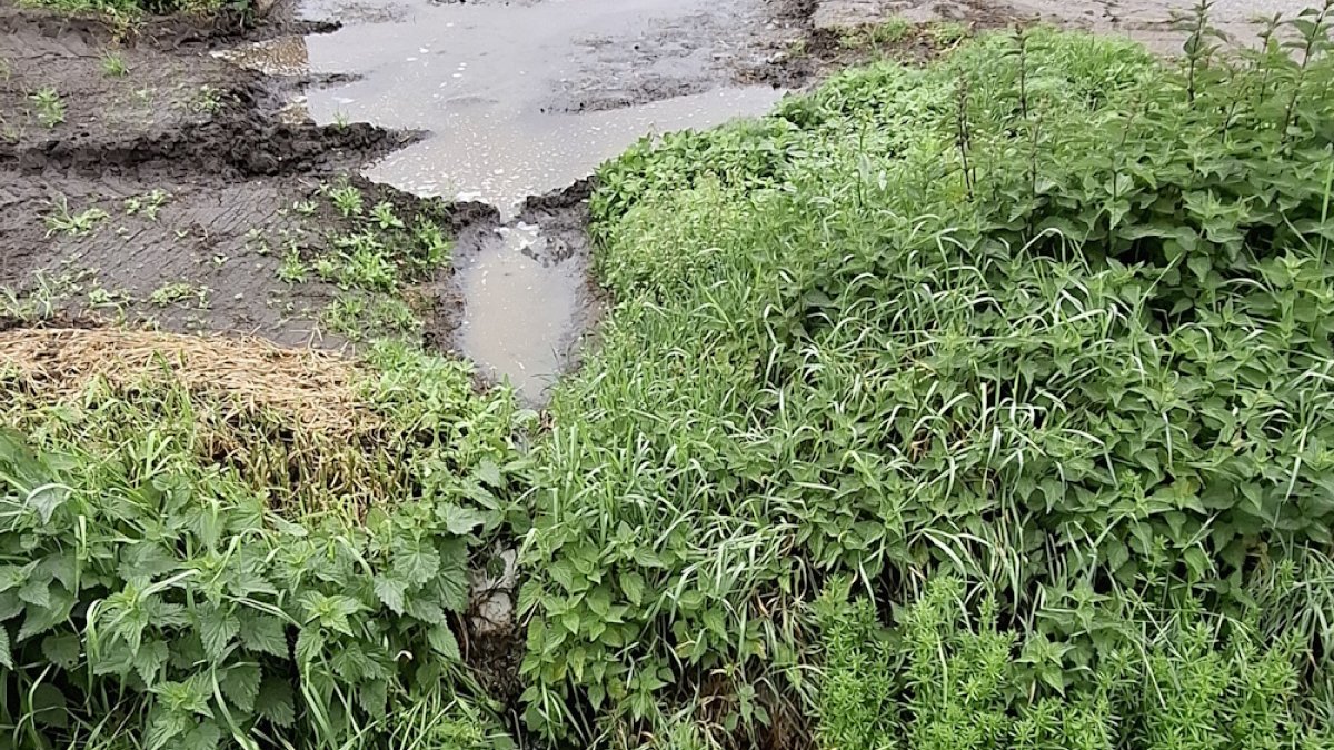 Afvalwater in sloten bij Reusel