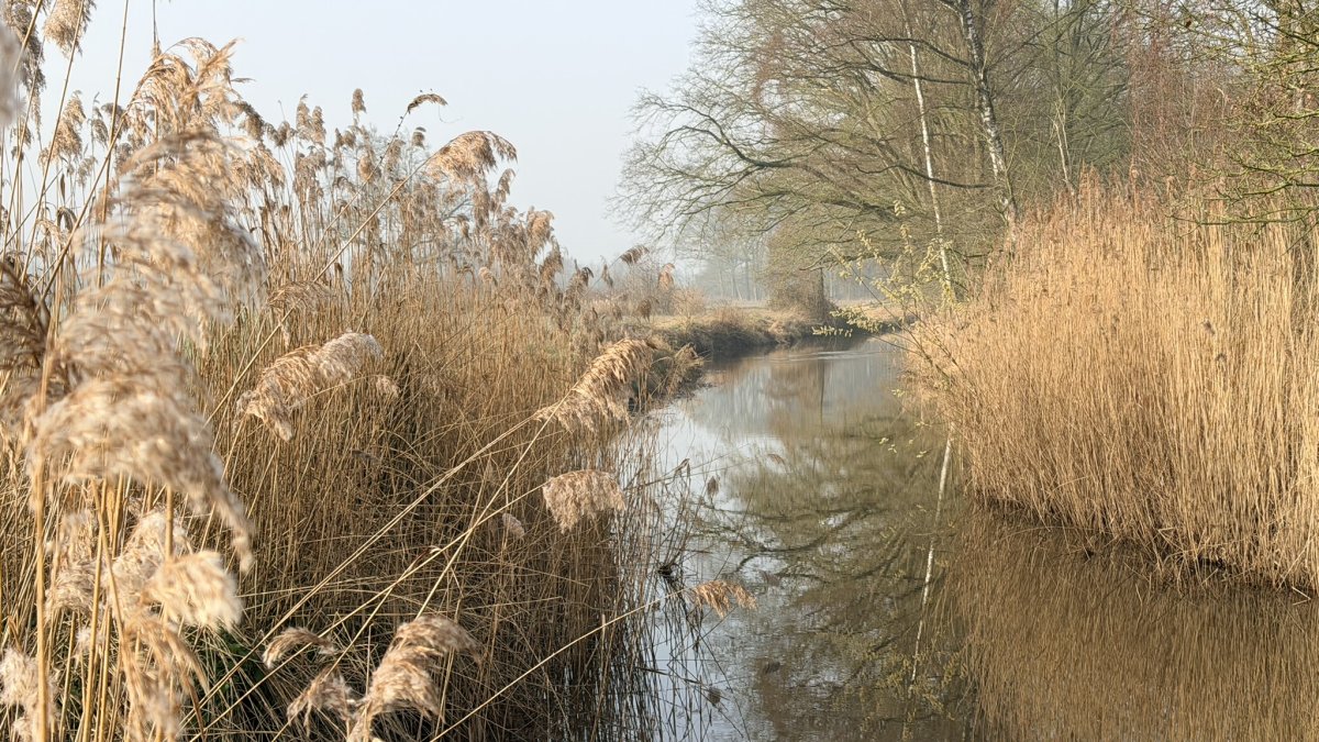 Inloopbijeenkomst herinrichting Voorste Stroom