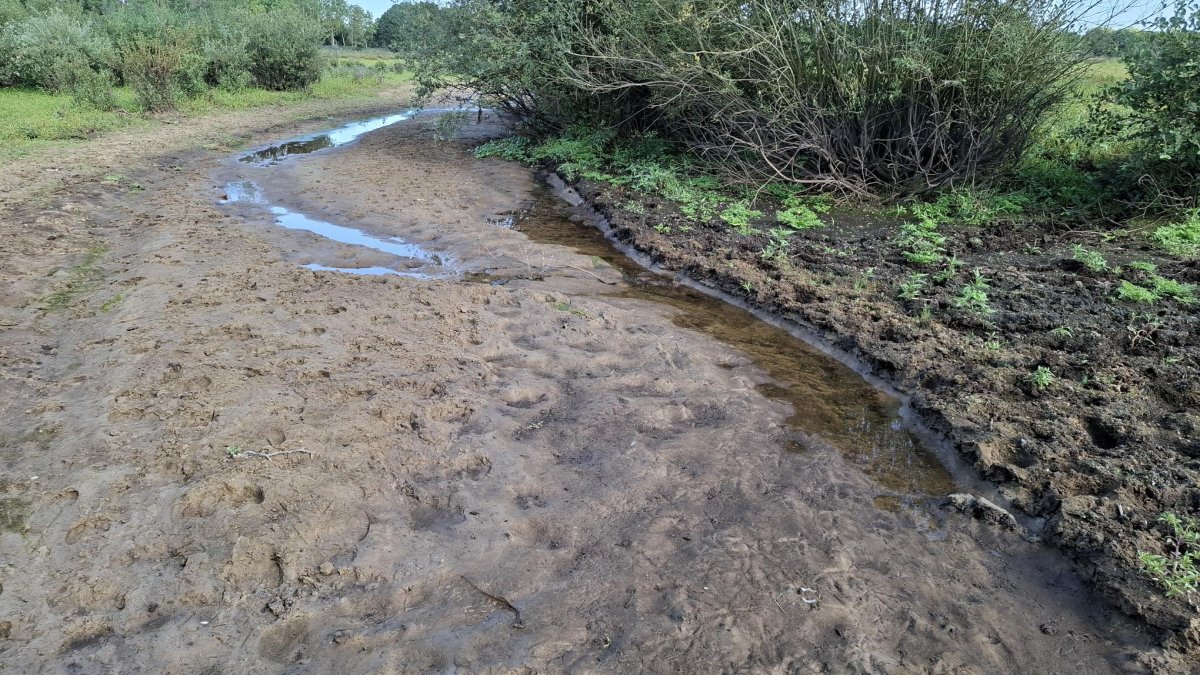 Ook overlevingswater voor droogvallende Beerze bij de Kampina