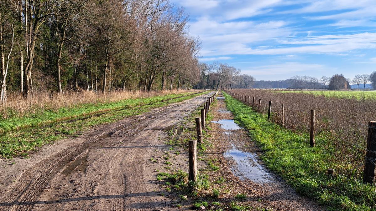 Schelpenpad Netersel wordt hersteld