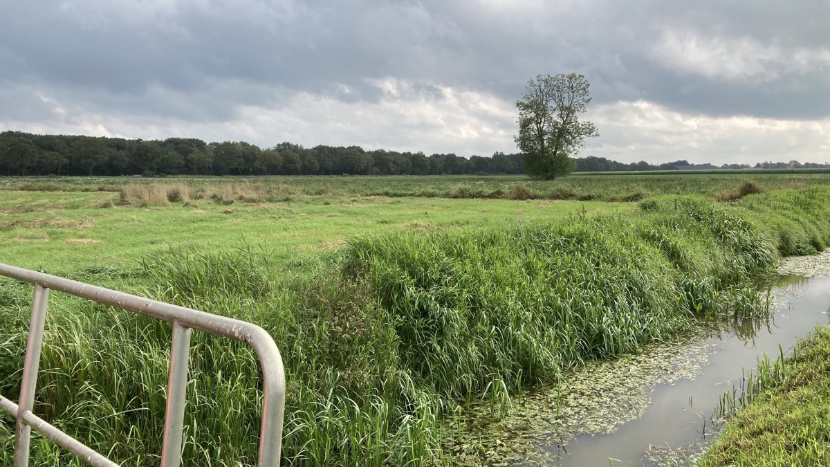 Inloopbijeenkomst herinrichting Reuseldal Zuid