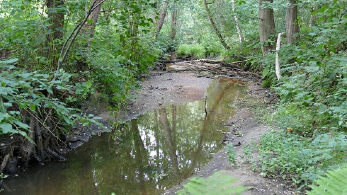 Op twee locaties blijft extra water nodig voor beken
