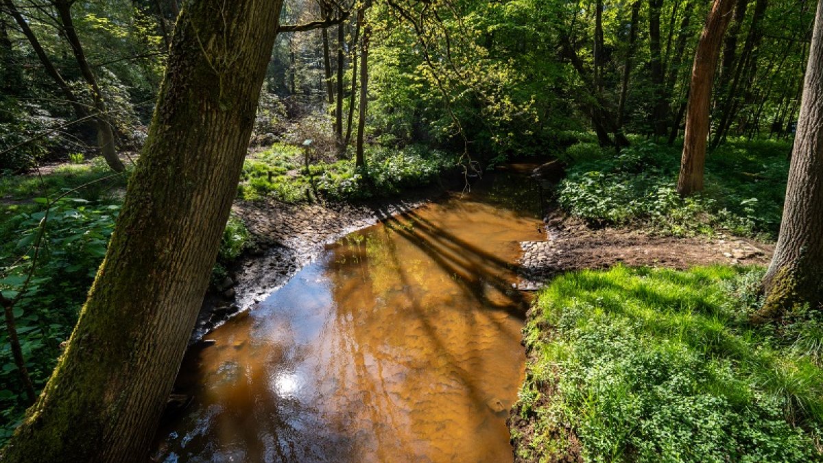 Tijdelijk verbod op onttrekken oppervlaktewater uit de stroomgebieden Peelrijt, Beneden-Reusel en Za
