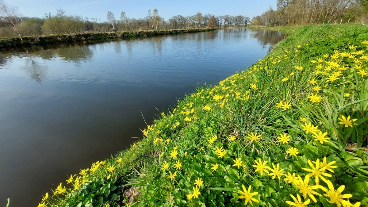 Gecombineerde commissievergadering