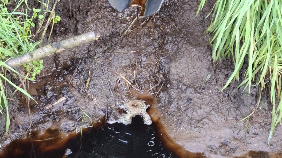 Sloot vervuild in Boxtel