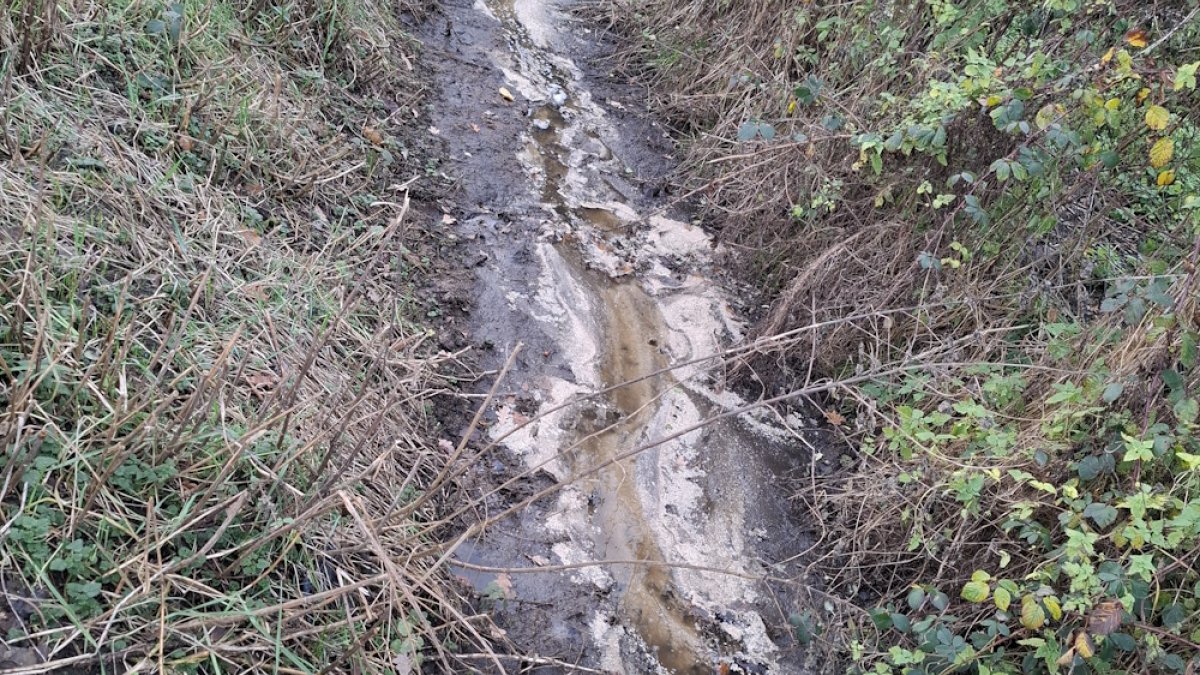 Vervuiling van sloot in Oirschot