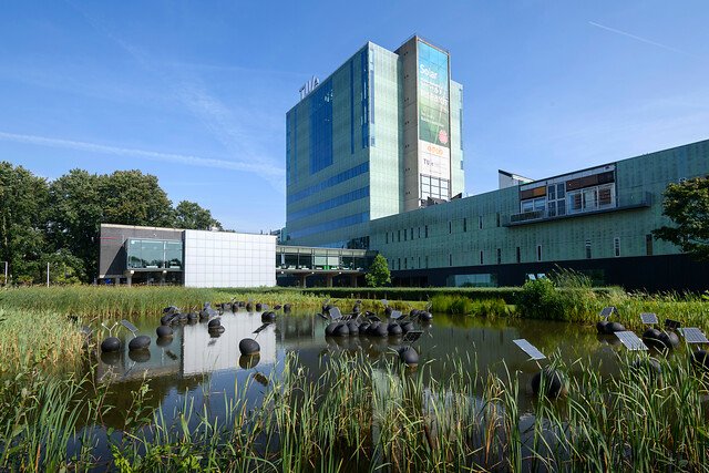 ‘SOH19 kunststof eieren in de vijver bij de TU/e in Eindhoven
