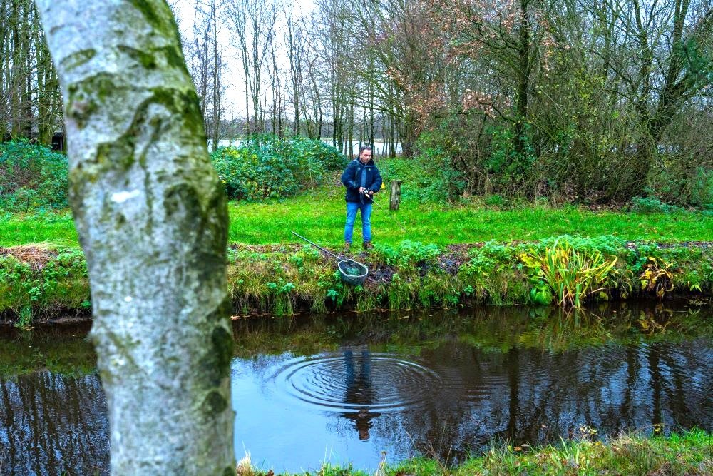 Vissen aan Beeksche Waterloop Olen in Nuenen