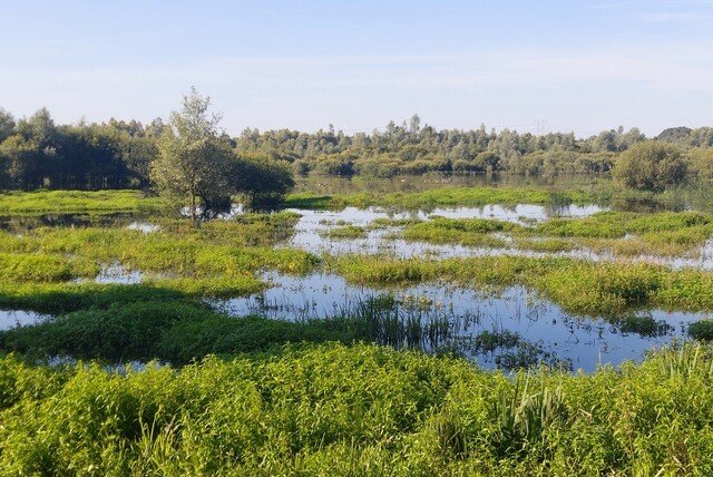 Kijkpunt over de Logtse Velden in Oirschot