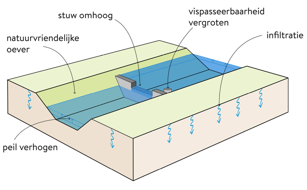 Brede ondiepe watergang, verhogen waterpeil, allen stuwen in hoogste stand - water vasthouden wanneer kan en afvoeren indien mogelijk