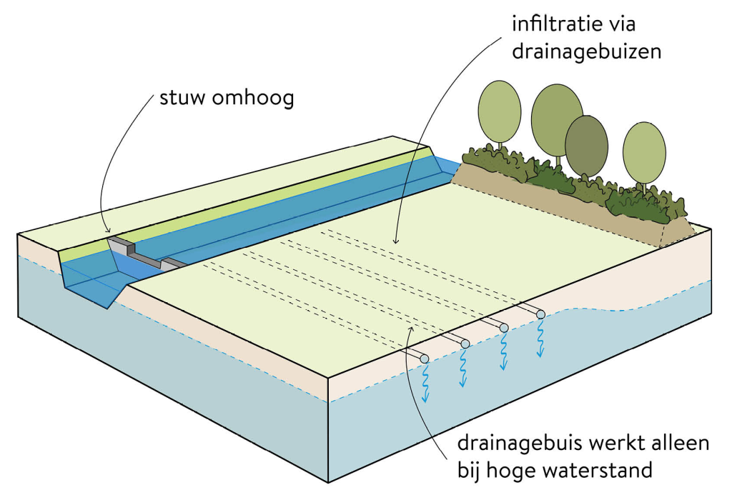 Een stuk grond met drainagebuizen die werken bij hoge waterstand en zorgt voor infiltratie en een sloot waarin stuw omhoog staat
