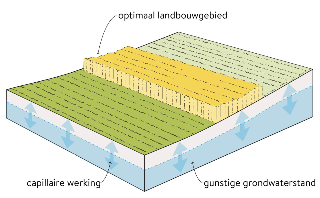 Water aan- en afvoer in balans, een stuurbaar waterstysteem, optimaal voor landbouw