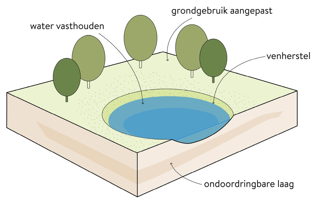 Een stuk grond waar door middel van een wadi of venherstel water vastgehouden wordt.