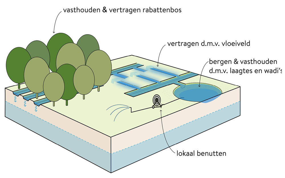 Een stuk grond met een rabattenbos voor het vasthouden en vertragen van wateropname. Vertragen door middel van een vloeiveld en bergen en vasthouden van water door middel van laagtes en wadi's. 