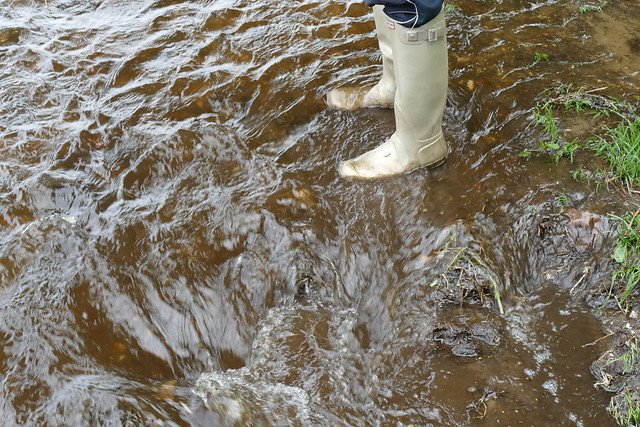 Laarzen in het water