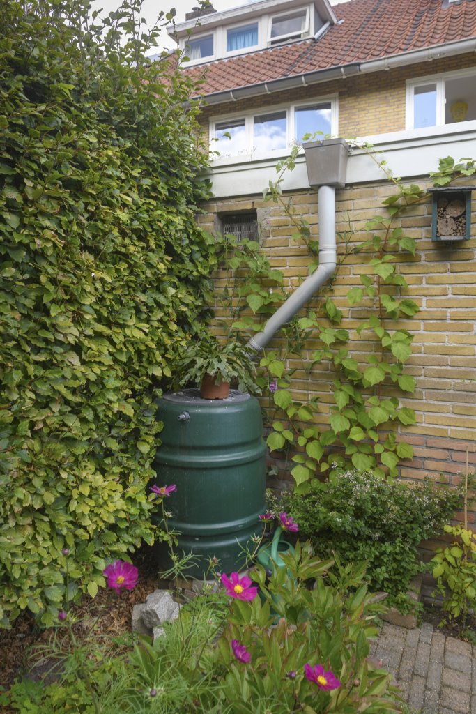 Regenton in tuin