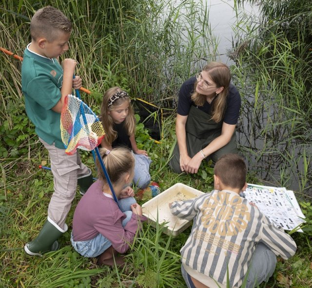 Kinderen vangen waterdiertjes en krijgen uitleg van ecoloog op Zondag Waterdag