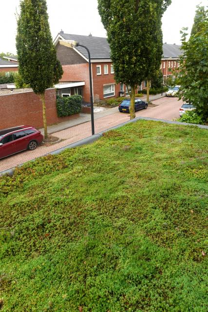 Groen dak op een woning