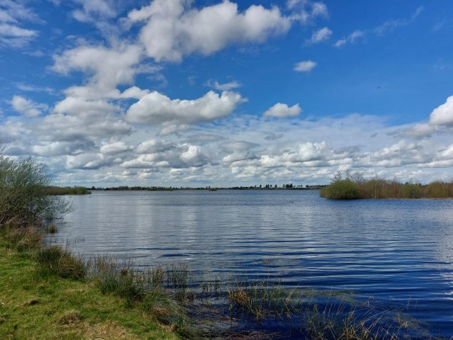 Meer