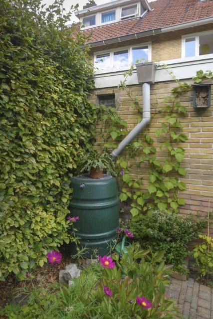 Regenton in groene tuin