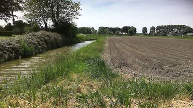 Teelt-, mest- en spuitvrije zone langs slootkant