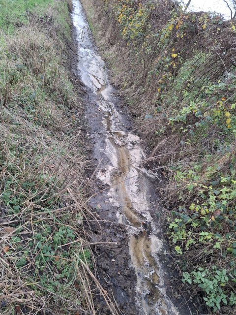 Vervuilde sloot in Oirschot