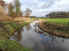 Nieuwe Strijper Aa