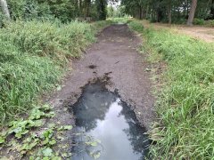 De Reusel droge rivier