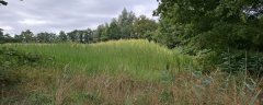 Witsem Soerendonks Goor