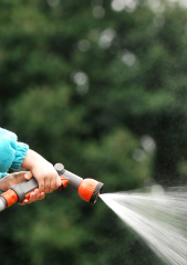 Afbeelding sproeien van de tuin