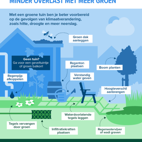 De klimaatbestendige tuin; minder overlast met meer groen