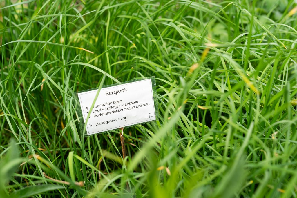 berglook in tuin van iris