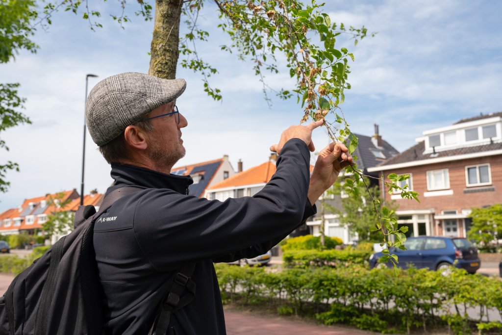 Ton wijst een boom aan