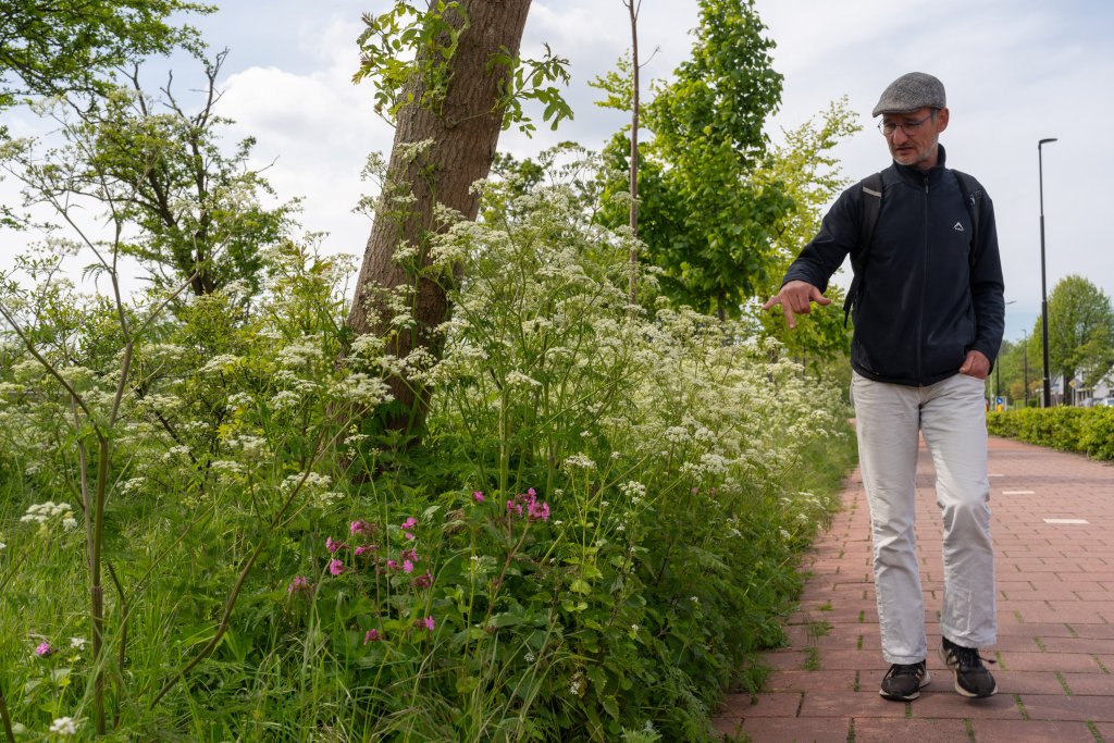 Ton loopt over straat en wijst groen aan