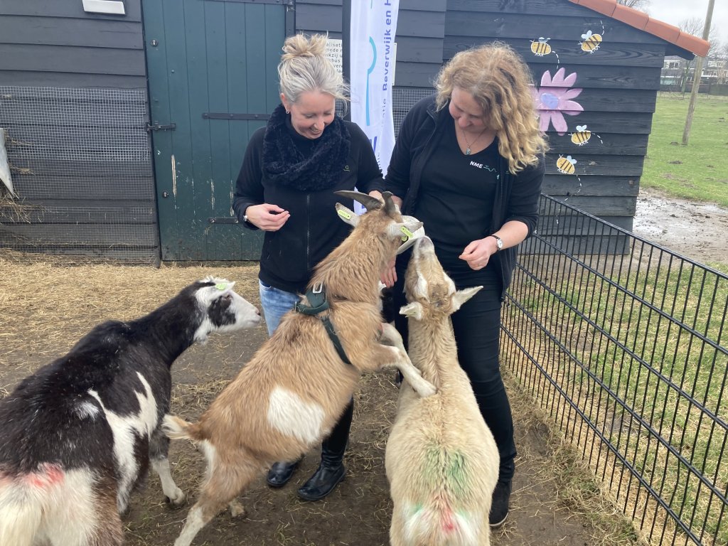 De dames van NME met de geiten op de kinderboerderij