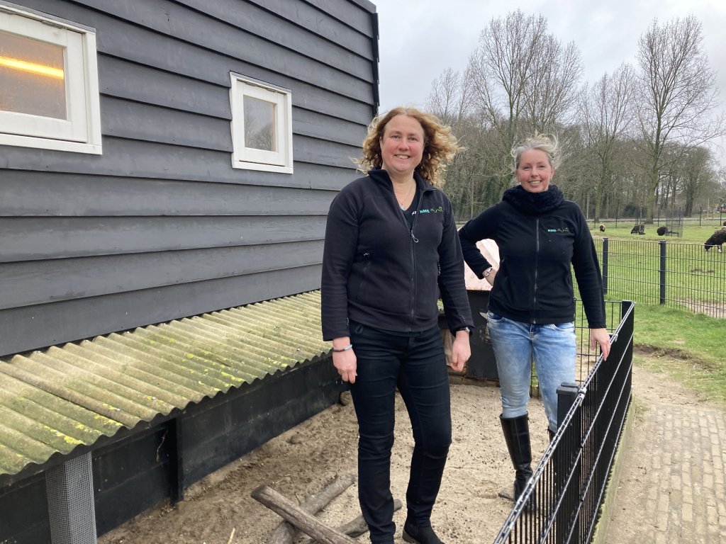 De dames op de kinderboerderij
