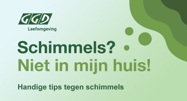 Schimmels? Niet in mijn huis! Handige tips tegen schimmels