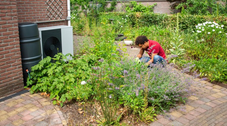 Man verzorgd planten in de tuin