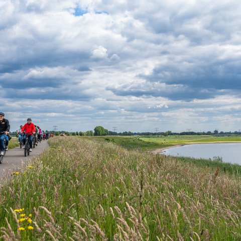 Lint van fietsers langs de waterkant