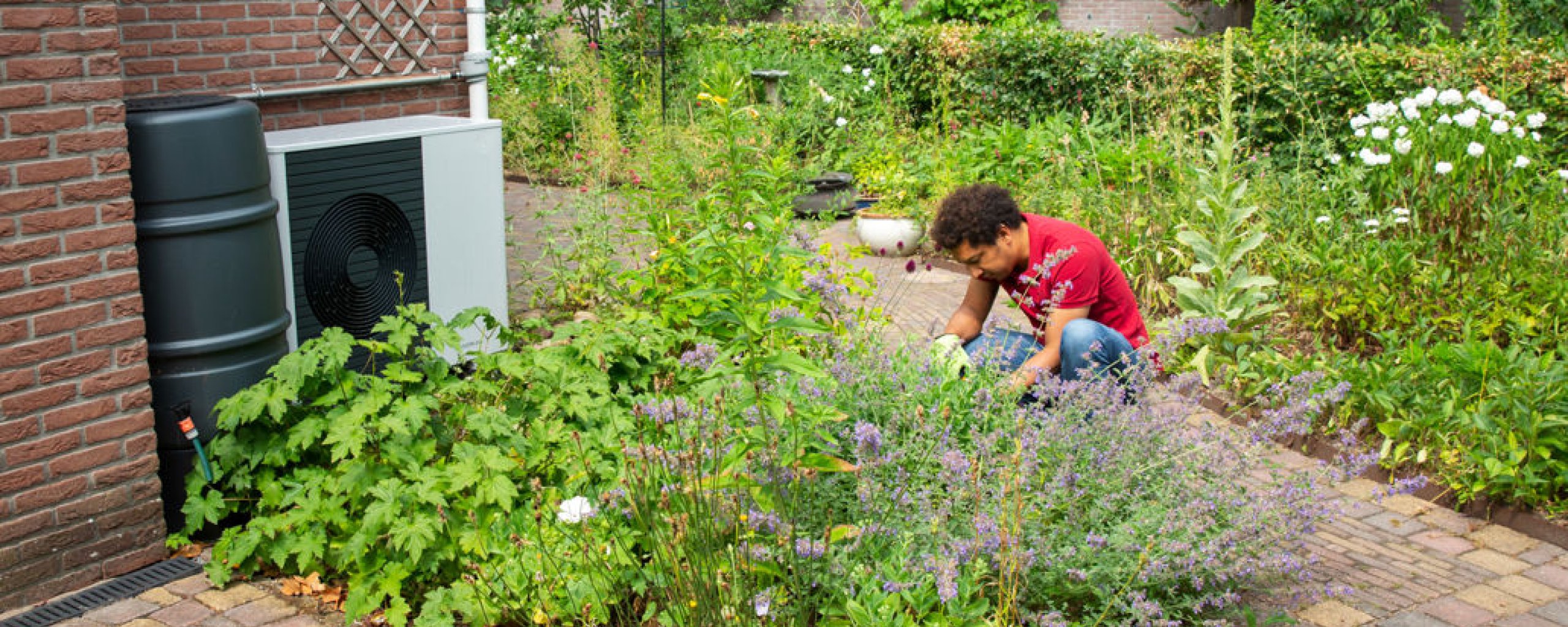 Man verzorgd planten in de tuin