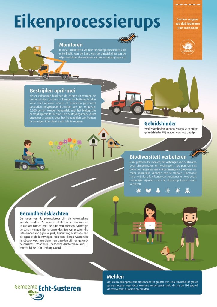 Infographic over eikenprocessierups-bestrijding