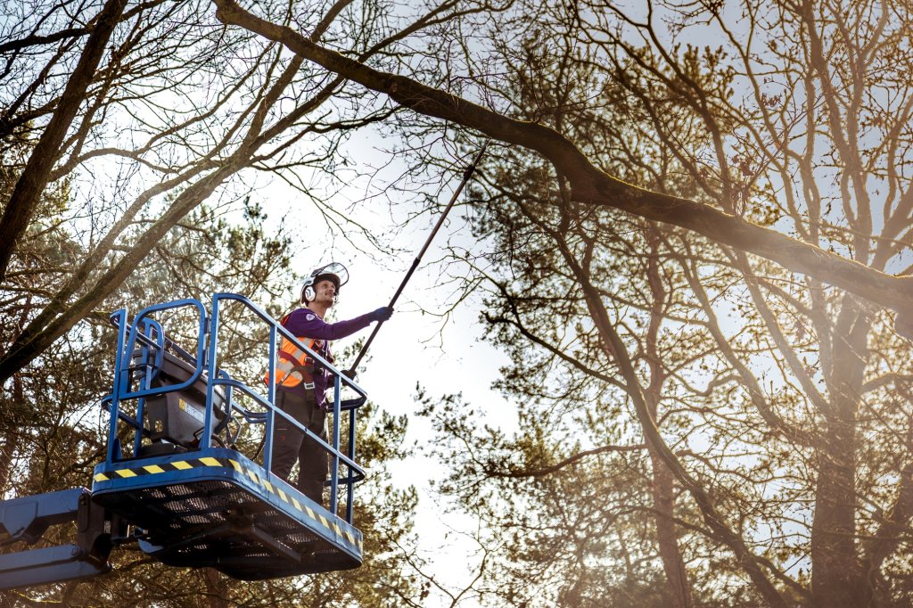 Man snoeit boom vanuit een hoogwerker