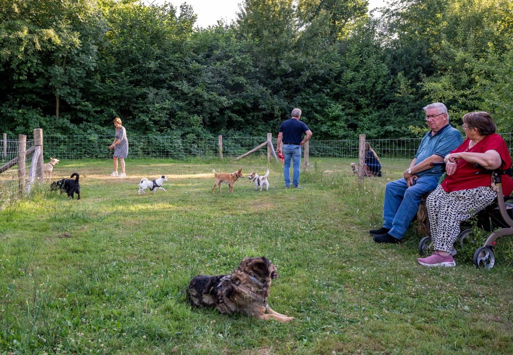 Honden en hun baasjes in de hondenspeelplaats