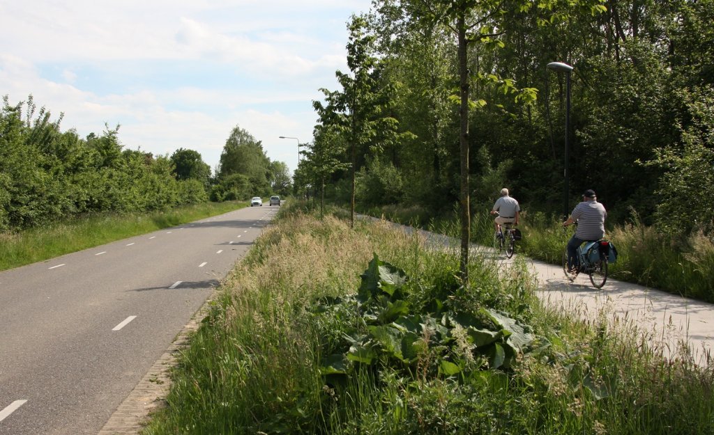 Een nog ongemaaide berm tussen rijbaan en fietspad