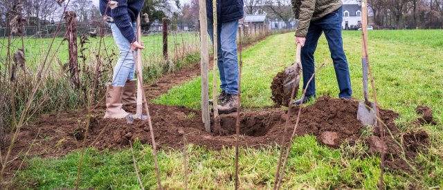 Drie personen planten bomen