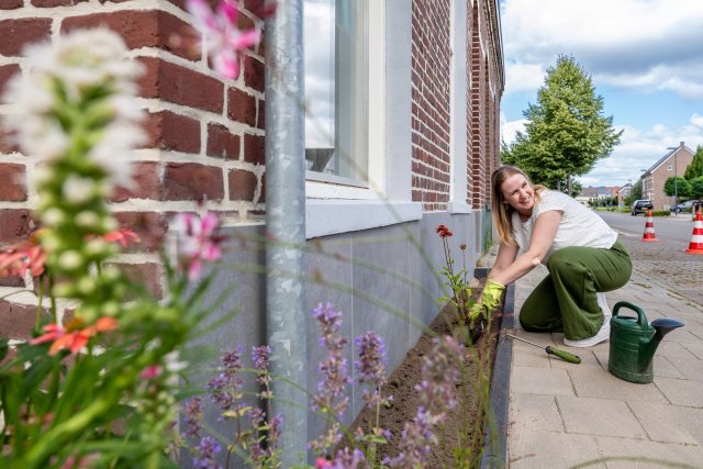 Medewerkers van de gemeente bouwen een geveltuin langs de huisgevel