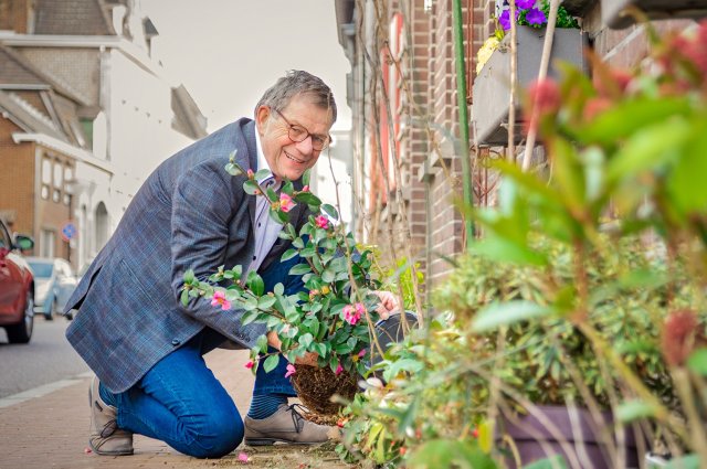 Wethouder Hub Meuwissen plaatst een plant in een geveltuintje